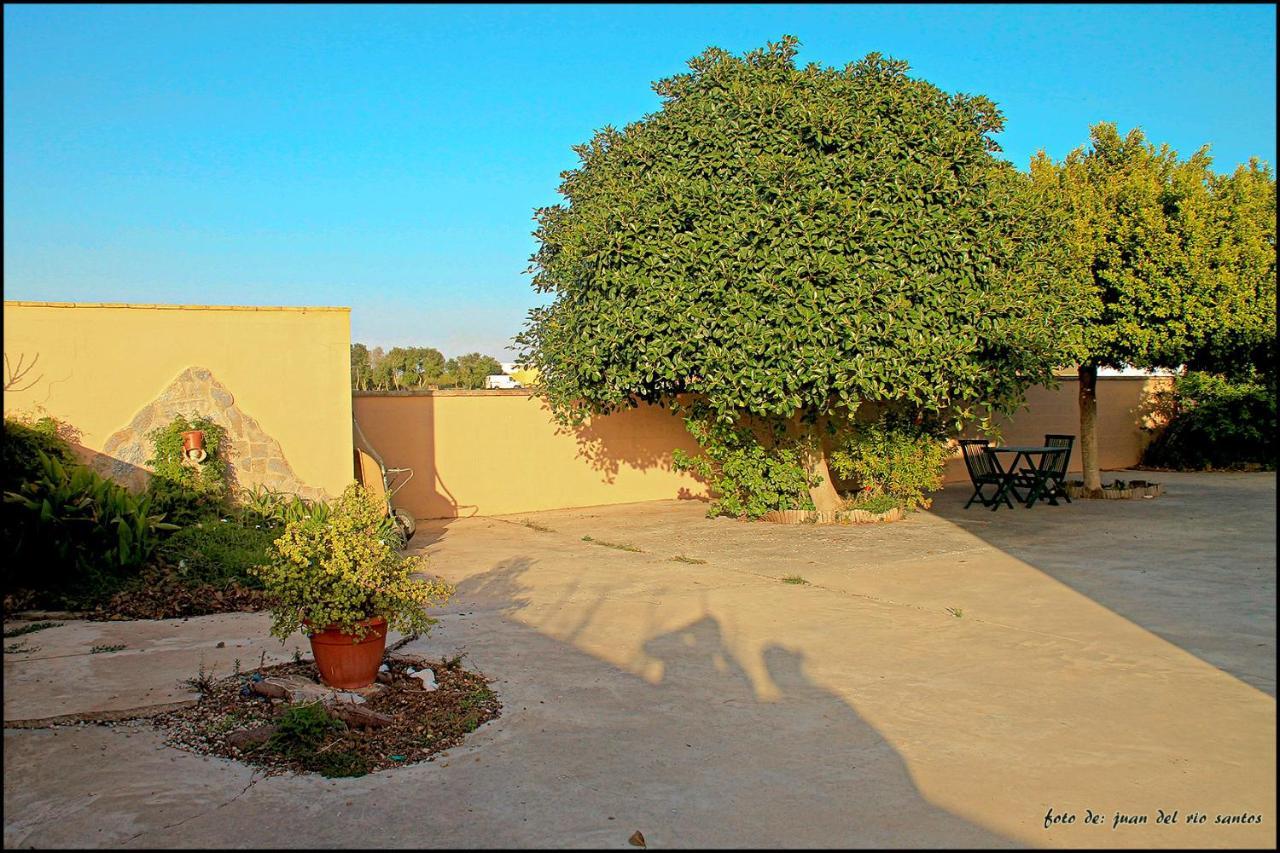 Mi Oasis Villa Conil De La Frontera Buitenkant foto