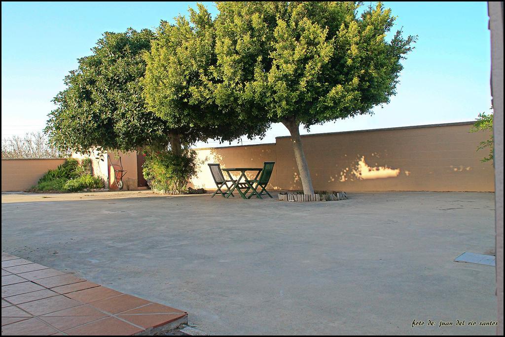Mi Oasis Villa Conil De La Frontera Buitenkant foto